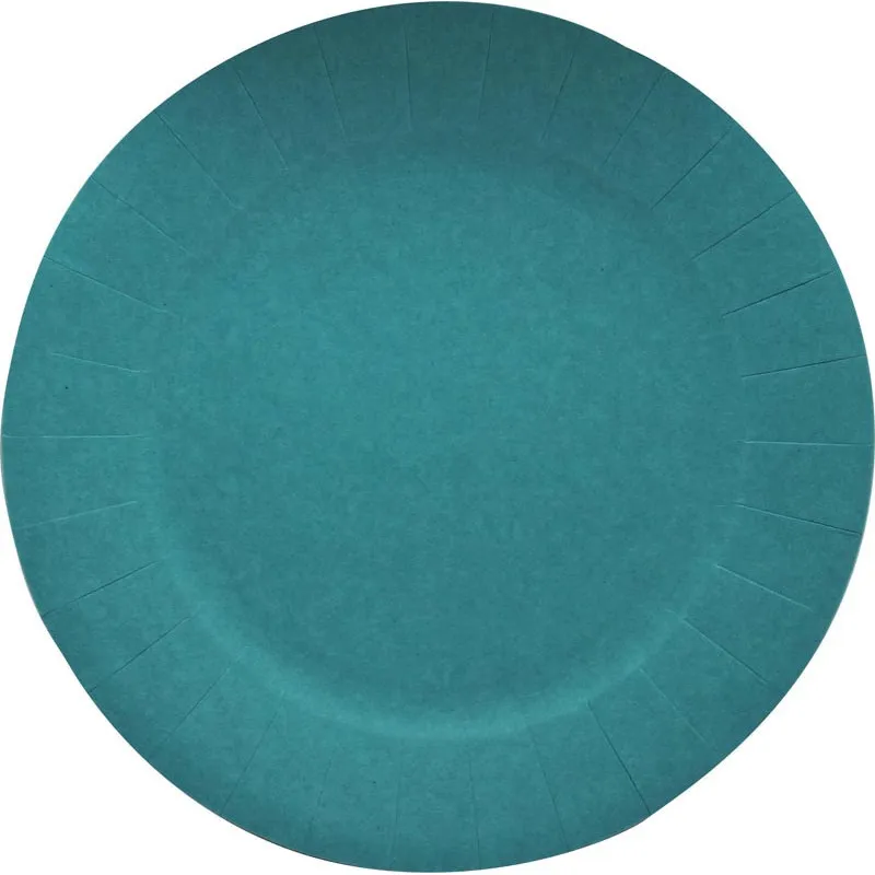 Assiette d23cm x10 carton bleu c
