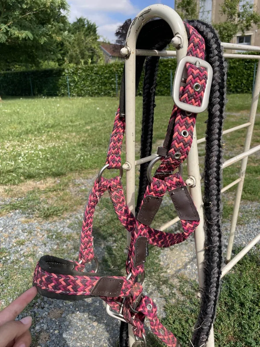 Ensemble licol+longe Fouganza rose poney