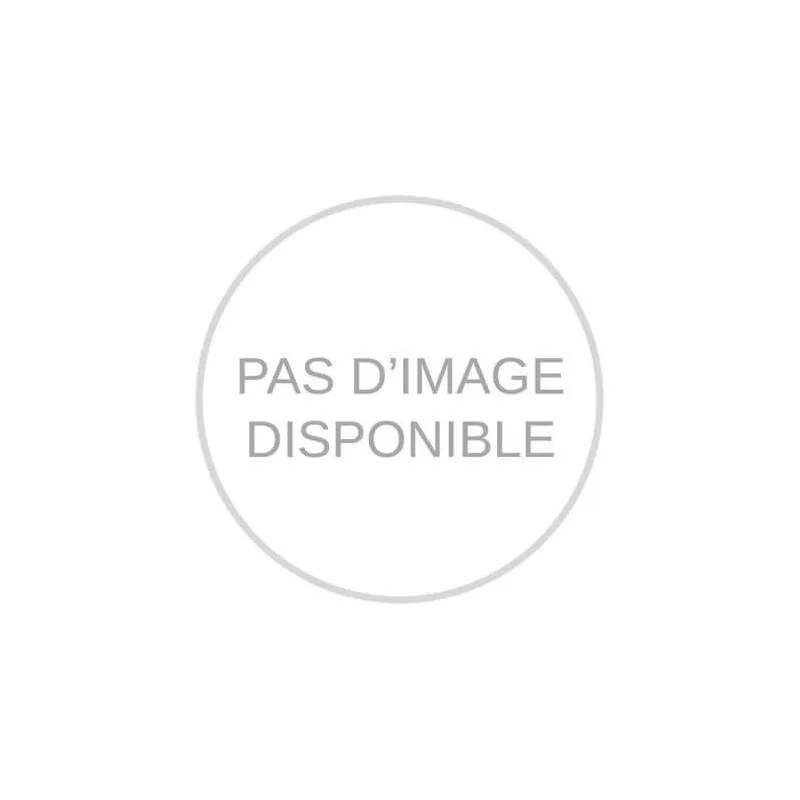 Panier de friteuse AFI FAP7E40
