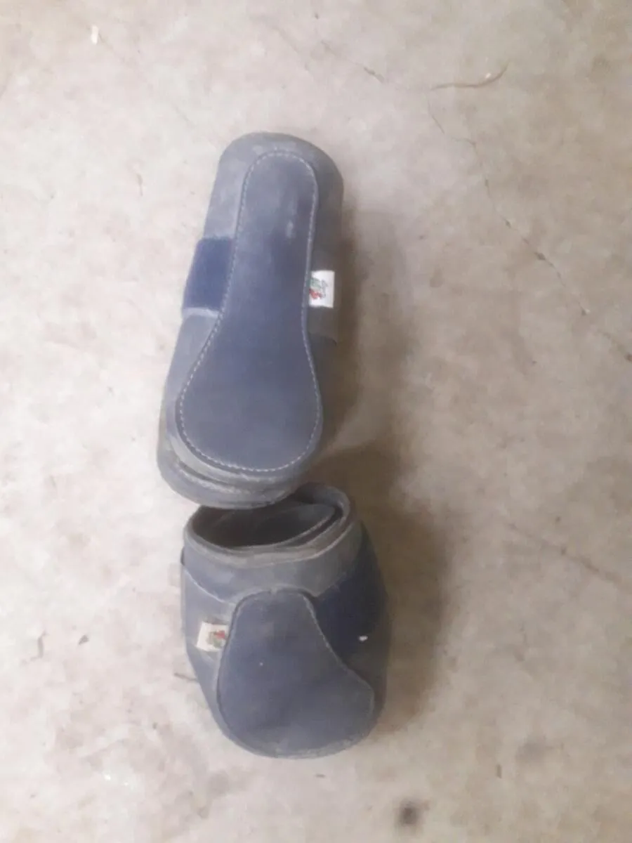protections (guetres fermees + pb) poney
